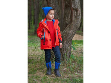 ������ ����*��**�� 2832�