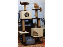 �������� "������"