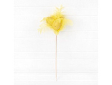 ���� ��������. �� ����, 40 �