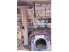 ��� �����