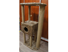 �����-���������� ��� �����