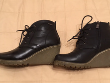 ������������ �����������