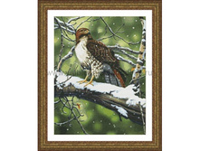 "������������� �����" ������ ������