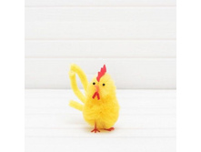 ����� �������, 29 �