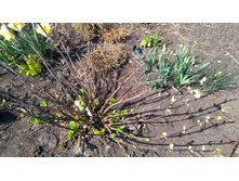 IMG 20190422 131920.jpg