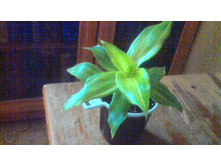 ������� ��