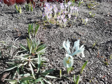 IMG 20190420 144306.jpg