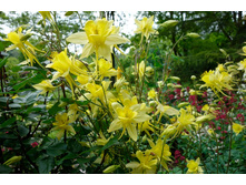 ��������� ������ �������� 50 �