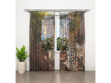 ����001-13527 1.jpg