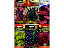 ������� �����, �����