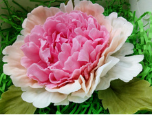 ������ �����