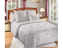 ������� 5 ����� 220 �� ������