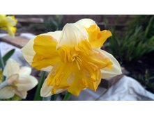 IMG 20190420 163810.jpg