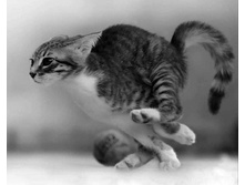 ����-����! ����-����!