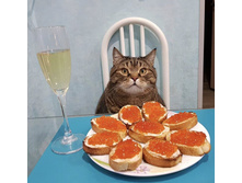 �� � �� ���� ������������ � ����� ...