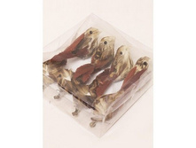 ������, ���� �� 2 �� 70 �