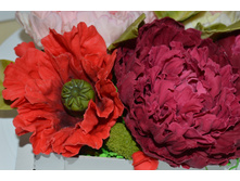 ��� � ���� �� ��������