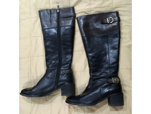 ������� ���� ������ Covani 37�-�