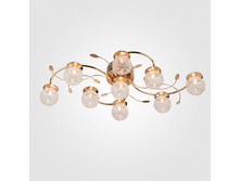 48009 4300� (12��).jpg