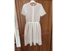 ������ ����