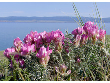 ��������� ����������.jpg