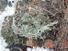 IMG 20190406 102136.jpg