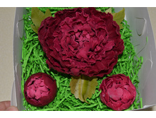 ������ ����� � ��������