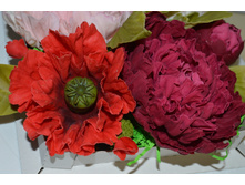 ���� � ��� �� ��������