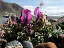 ������������� �������.jpg