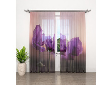 ����001-14009 1.jpg