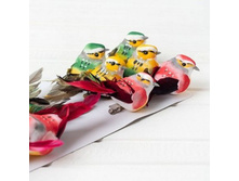 ������ �� ������, 73 �