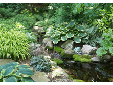 ����� � �������