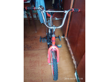 IMG 20190407 110607.jpg