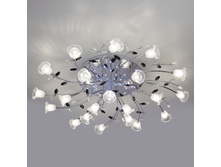 8011421 10300� (������� 23��).jpg