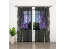 ����001-14296 1.jpg