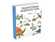 ������������ ��������� ����