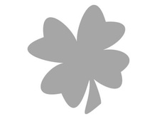 ������ 5*5 ��, ���� - 29 ���/��