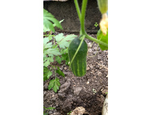 IMG 20190407 084044234.jpg