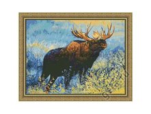 "����� ����" ������ ������