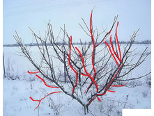 ������ �� ������� � ������������ �� �������