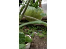 IMG 20190330 104203875 HDR.jpg