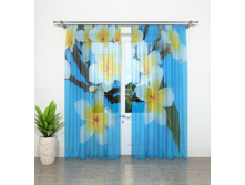 ����001-14048 1.jpg