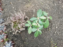 IMG 20190413 100344.jpg