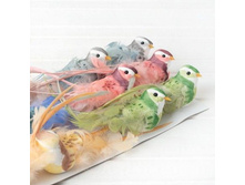 ������ �� ������, 73 �