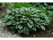 ����� ������. 120 �