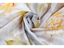 ����001-13519 2.jpg