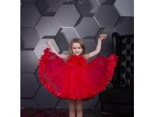 ������ ������: 1�53