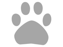 ������ 5*5 ��, ���� - 29 ���/��