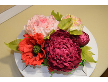 ����� �� ���������� ������