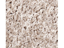 SH84 �������� ���